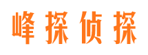 黑水市婚外情调查